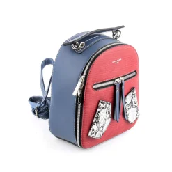 Mochila DAVID JONES